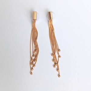 Gold Tassel Earrings